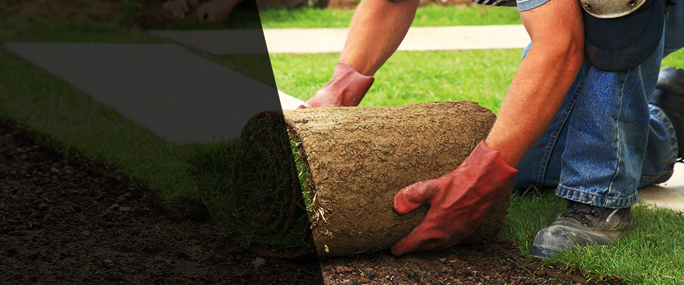 Orangeburg Landscapers